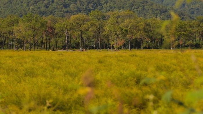 Những bức ảnh tuyệt đẹp về Hải Dương