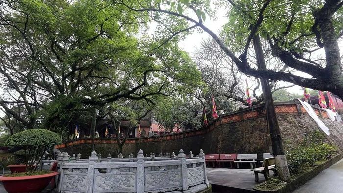 Những bức ảnh cảnh đẹp nổi bật của Hải Dương