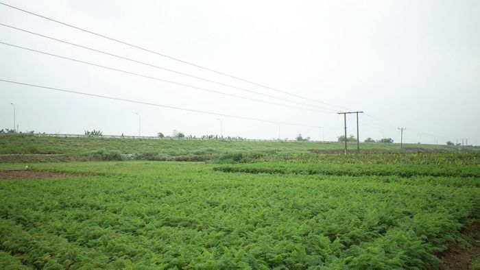 Những bức ảnh ấn tượng về cảnh đẹp Hải Dương