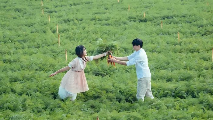 Những hình ảnh đẹp về cảnh sắc Hải Dương đầy ấn tượng