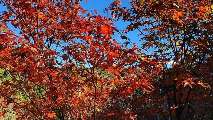 Những cảnh đẹp nổi bật tại Hải Dương