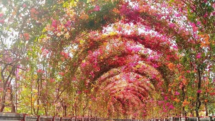 Cảnh đẹp tuyệt vời của Hải Dương