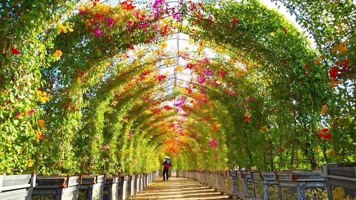 Những cảnh đẹp nổi bật của Hải Dương