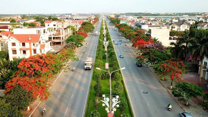 Hoa phượng đỏ nở rộ, tô điểm cho vẻ đẹp của Hải Phòng trong những bức ảnh đầy màu sắc và ấn tượng