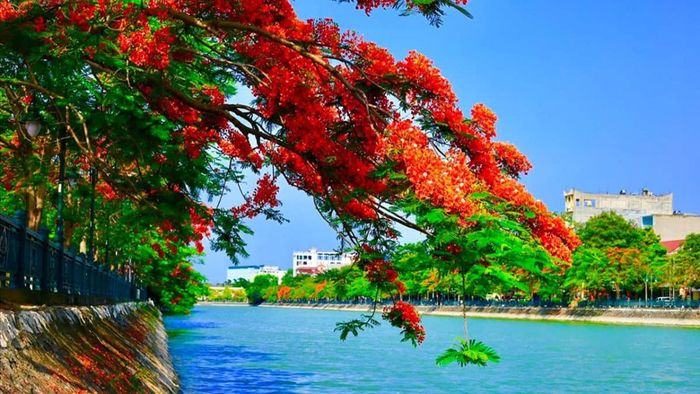 Những hình ảnh tuyệt đẹp về Hải Phòng, làm say đắm lòng người với vẻ đẹp riêng biệt của thành phố biển