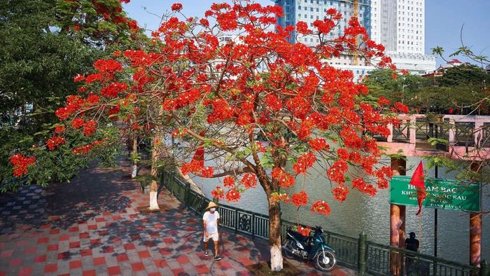 Ảnh đẹp về Hải Phòng, nơi mọi ngóc ngách đều mang đến những khoảnh khắc đáng nhớ và tuyệt vời