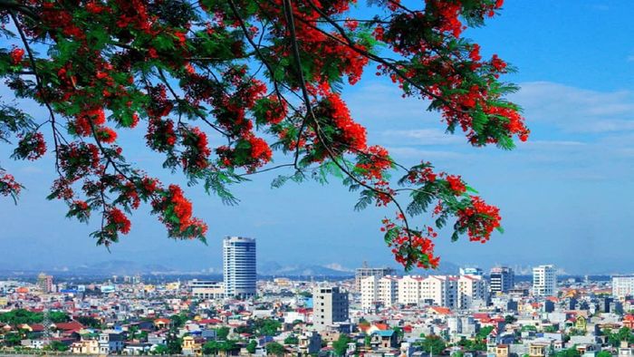 Khám phá vẻ đẹp Hải Phòng qua những tấm ảnh tuyệt vời, nơi sự hòa quyện của thiên nhiên và thành phố tạo nên một bức tranh sống động