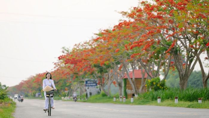 Hình ảnh Hải Phòng tuyệt đẹp, mỗi góc phố, mỗi con đường đều chứa đựng vẻ đẹp riêng biệt đầy mê hoặc