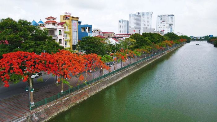 Những hình ảnh đẹp về Hải Phòng luôn mang đến cảm giác bình yên, lãng mạn, khiến người xem như lạc vào một thế giới đầy thơ mộng
