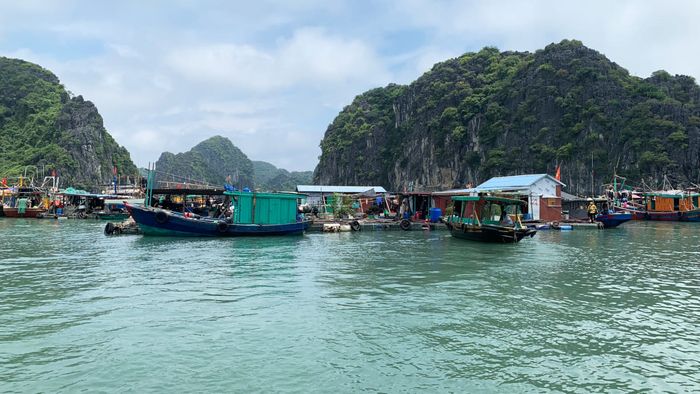 Khám phá các điểm đến tuyệt vời cho những ai yêu thích chụp ảnh tại Hải Phòng, với những cảnh quan thiên nhiên tươi đẹp và kiến trúc độc đáo.
