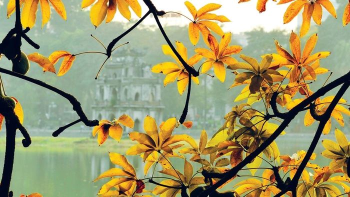 Bộ sưu tập hình ảnh đẹp mừng tháng 11