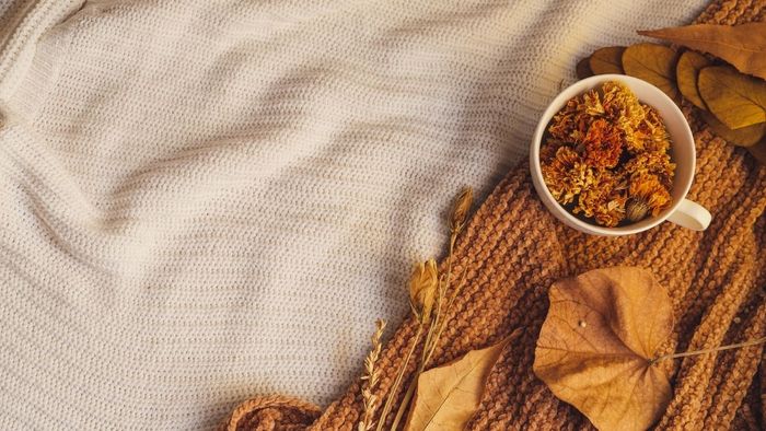 Khám phá những hình ảnh đẹp chào tháng 11