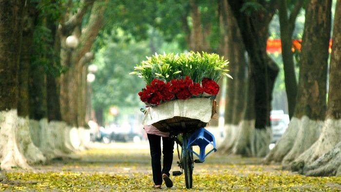 Những hình ảnh đẹp tháng 11