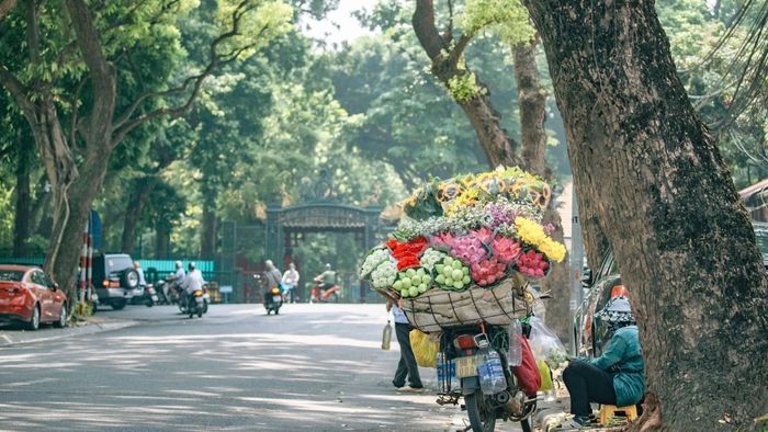Những hình ảnh đẹp tháng 11