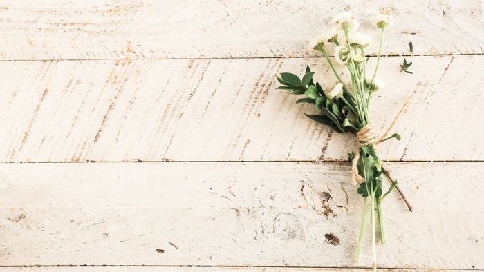 Bộ sưu tập ảnh đẹp tháng 11 ấn tượng