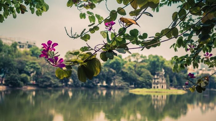 Bộ ảnh đẹp tháng 11 thích hợp làm ảnh bìa