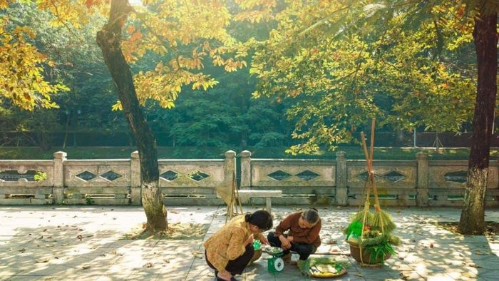 Ảnh đẹp tháng 11 lý tưởng làm ảnh bìa