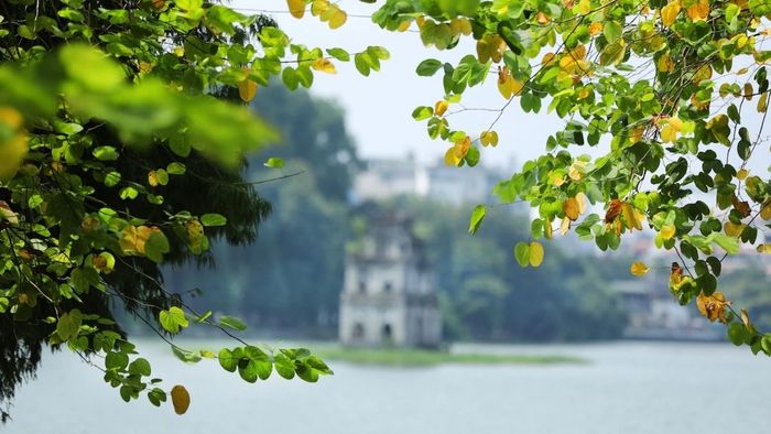 Ảnh tháng 11 sắc nét, tràn đầy cảm xúc