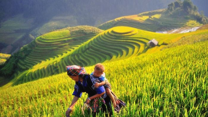 Hình ảnh tháng 11 sắc nét và tuyệt đẹp