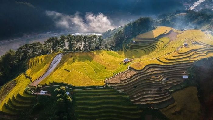 Những hình ảnh tháng 11 đầy yêu thương