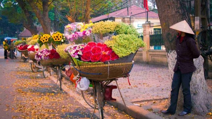 Hình ảnh tháng 11 tuyệt đẹp