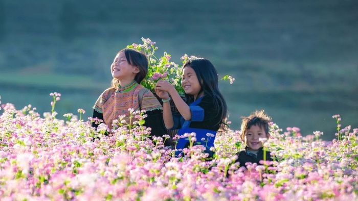 Những bức ảnh tháng 11 đẹp tuyệt vời