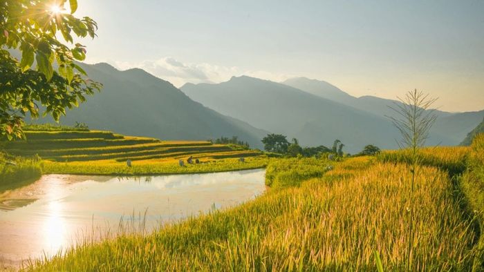 Ảnh tháng 11 đẹp tuyệt vời