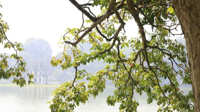 Ảnh tháng 11 ấm áp và đầy yêu thương