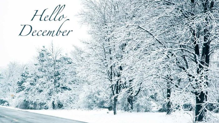 Ảnh đẹp chào đón tháng 12