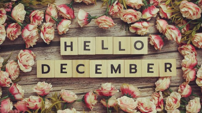 Ảnh đẹp tháng 12 chào đón mùa đông