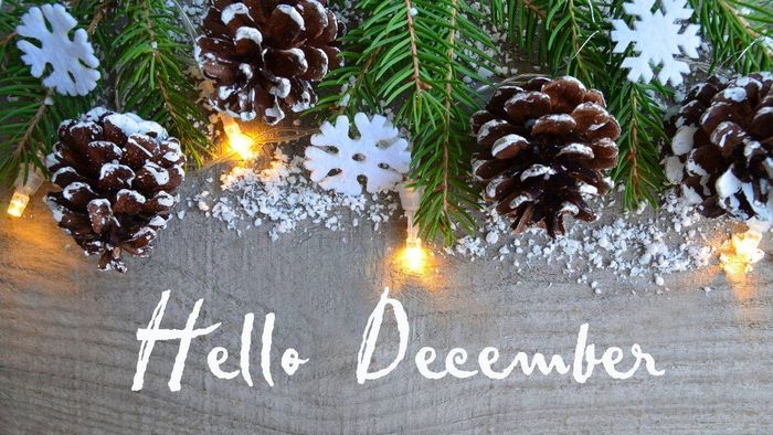 Bức ảnh tháng 12 ấn tượng