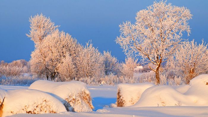 Hình ảnh mới nhất của tháng 12