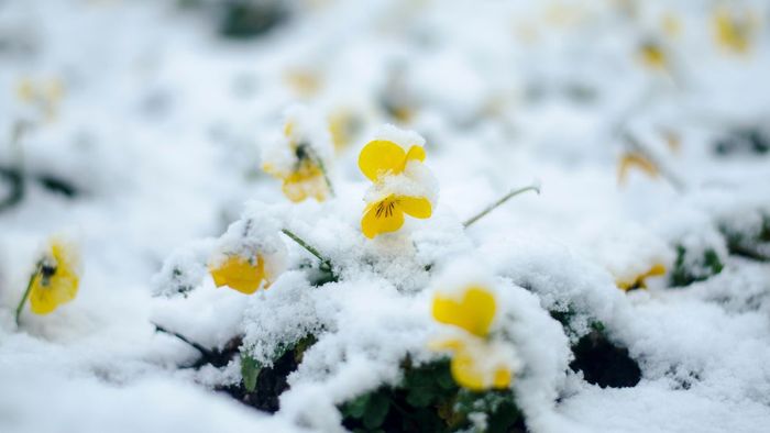 Ảnh đẹp tháng 12 đầy ấn tượng