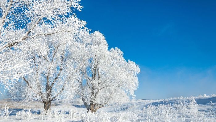 Ảnh đẹp tháng 12 đầy ấn tượng