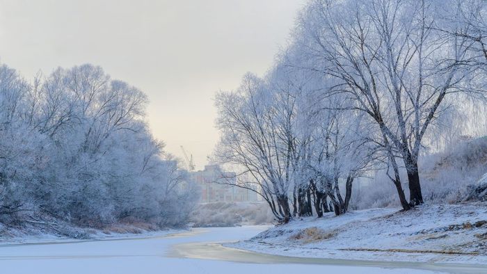 Ảnh đẹp tháng 12 gây ấn tượng mạnh mẽ