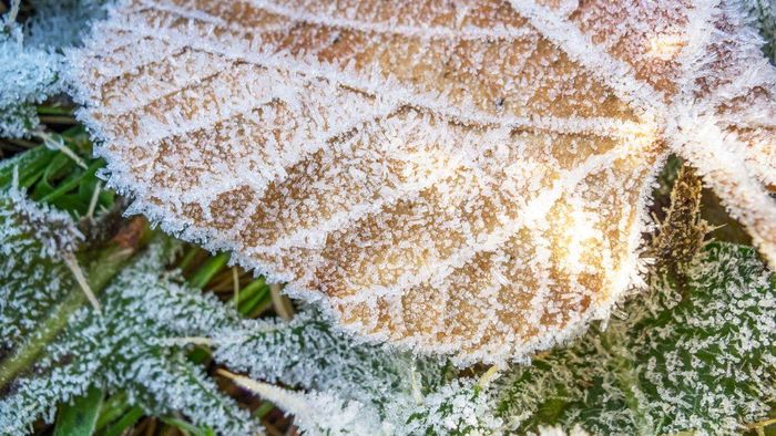 Ảnh đẹp tháng 12 hoàn hảo cho ảnh bìa Facebook