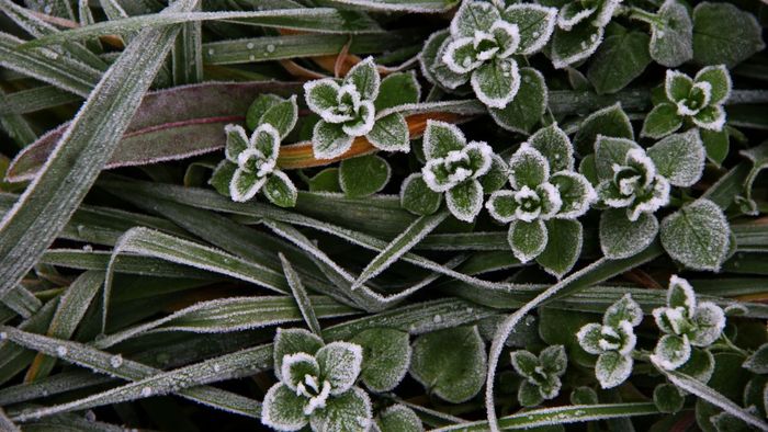 Bộ ảnh đẹp tháng 12 làm ảnh bìa Facebook