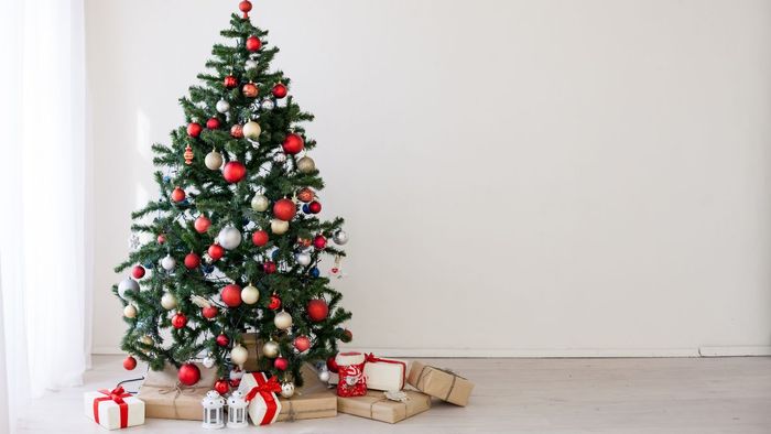 Bức ảnh đẹp Giáng Sinh tháng 12 ngập tràn niềm vui