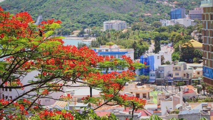 Khoảnh khắc đẹp về Vũng Tàu