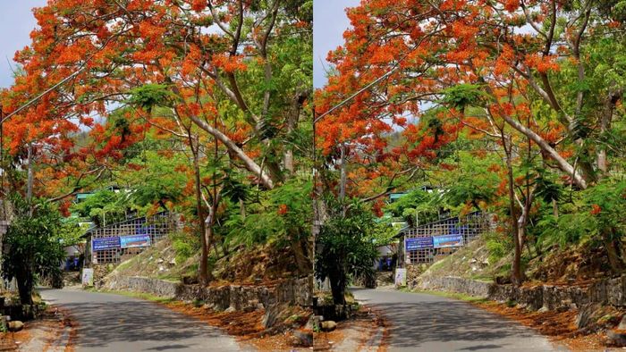 Những khoảnh khắc đẹp về Vũng Tàu