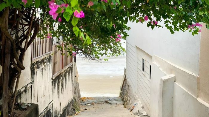 Những bức ảnh đẹp ấn tượng về Vũng Tàu