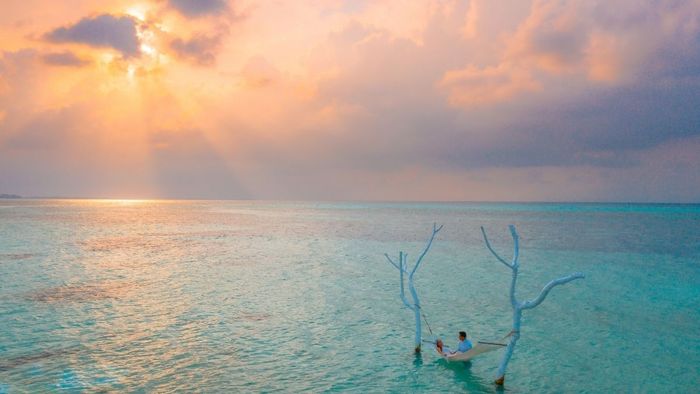 Những bức ảnh bình minh lãng mạn tuyệt vời