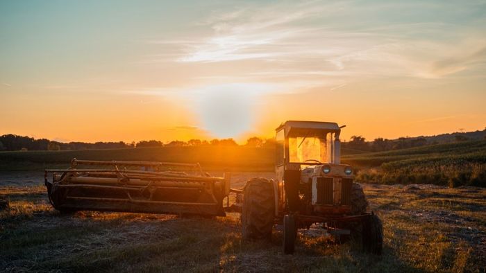 Những khoảnh khắc bình minh sớm trên cánh đồng