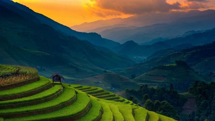 Những hình ảnh bình minh đẹp nhất trên cánh đồng