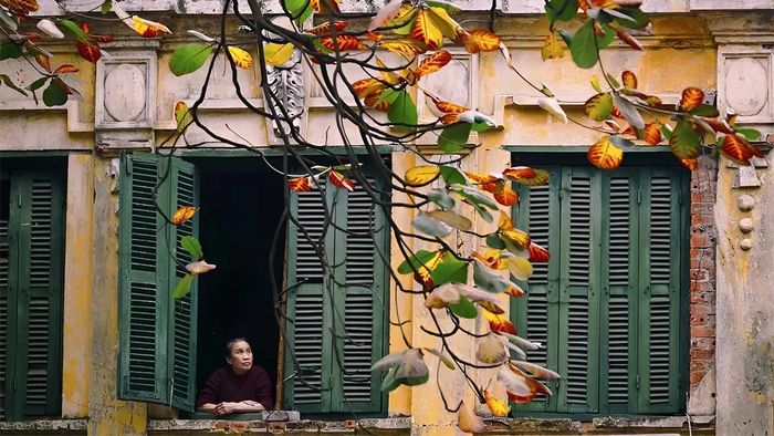 Những bức ảnh Phố cổ Hà Nội xưa mang đậm dấu ấn hoài niệm