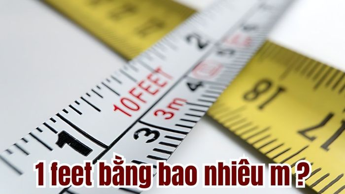 1 feet tương đương bao nhiêu mét?