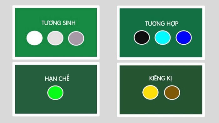 Người Giáp Dần sinh năm 1974 hợp màu nào và kỵ màu nào?