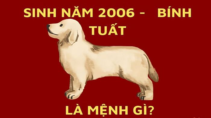 Sinh năm 2006 là mệnh gì?