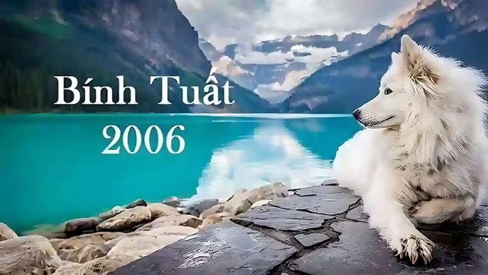 Người sinh năm 2006 hợp với tuổi nào? Kỵ tuổi nào?