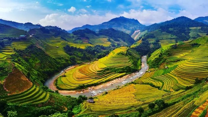 Phông nền học online thiên nhiên đẹp